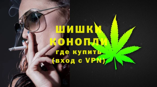 spice Козельск