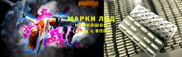 spice Козельск